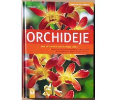 Orchideje