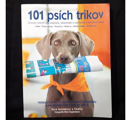 101 psích trikov
